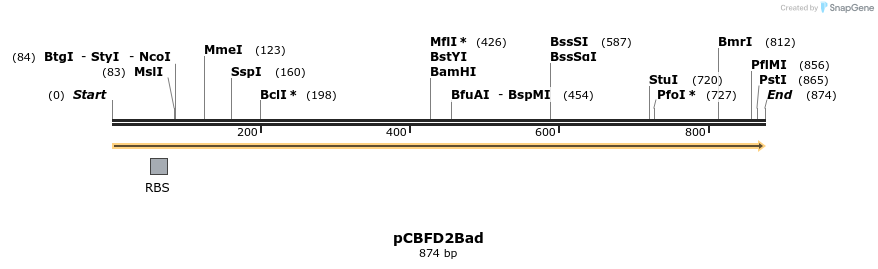 91321_map