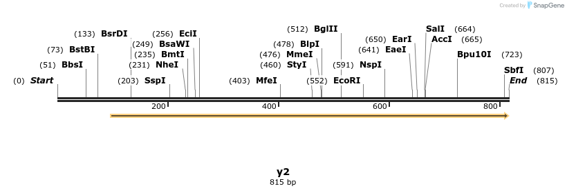 91323_map