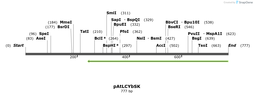 91325_map