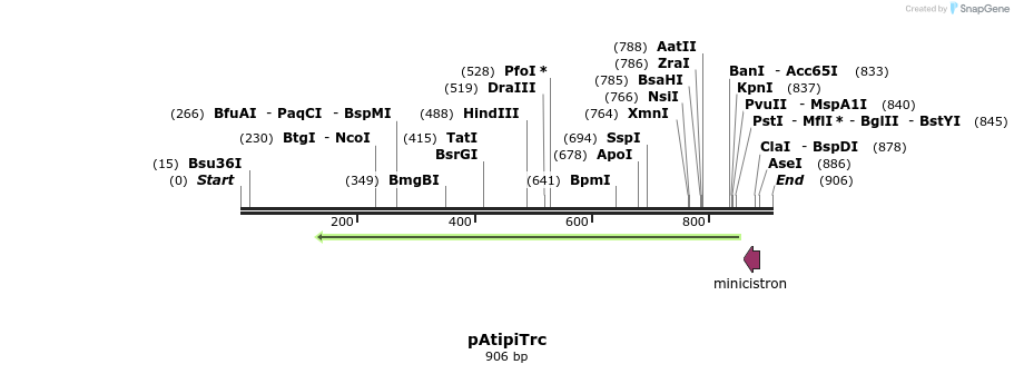 91330_map