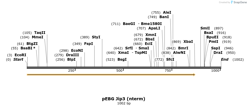 91332_map