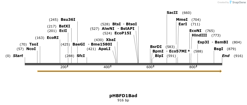 91341_map