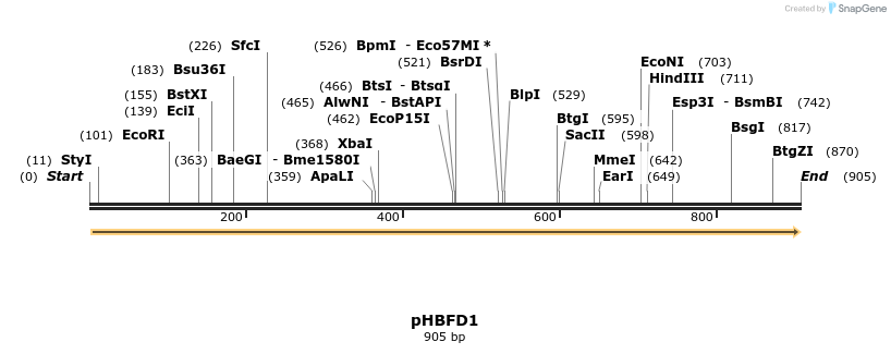 91342_map