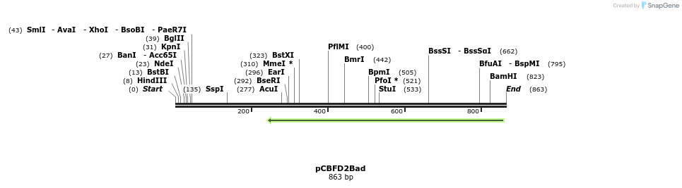 91343_map