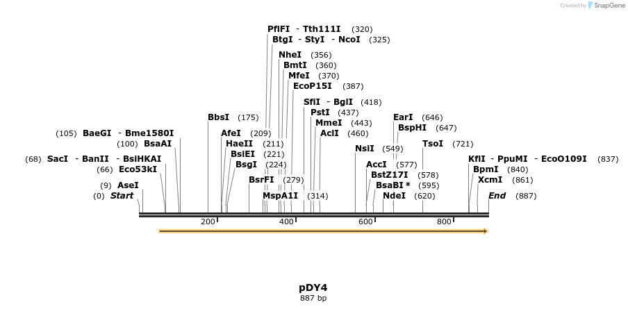 91346_map