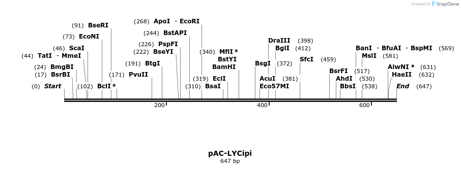 91348_map