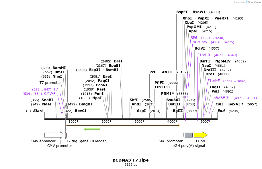 91349_map
