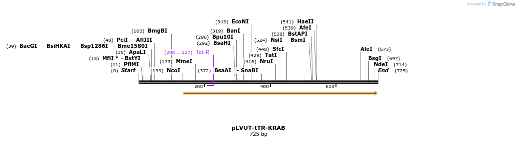 91351_map