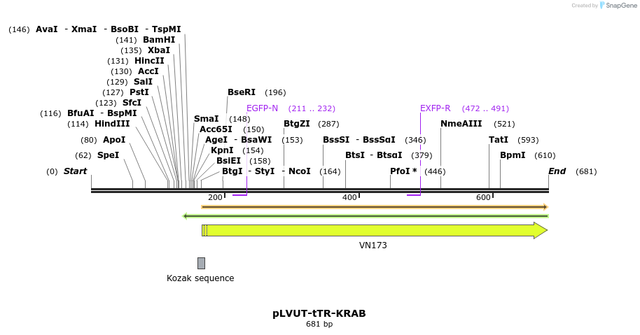91352_map