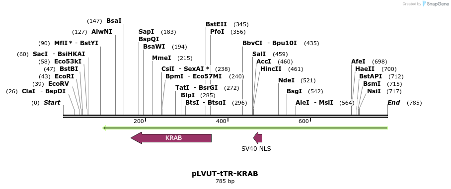 91354_map