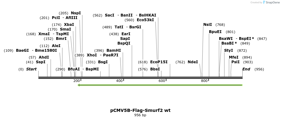91357_map