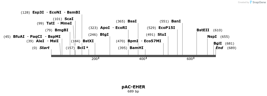 91361_map