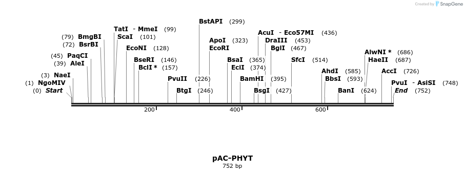 91368_map
