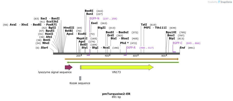 91370_map