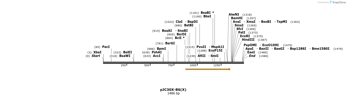 91371_map