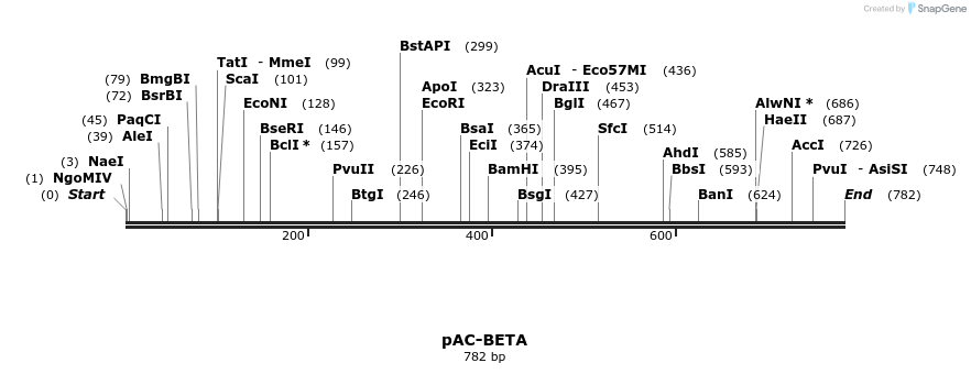 91372_map