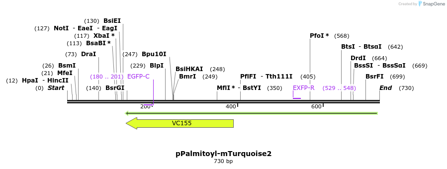 91374_map