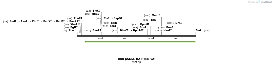 91376_map