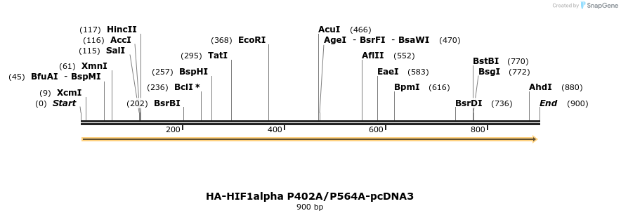 91381_map