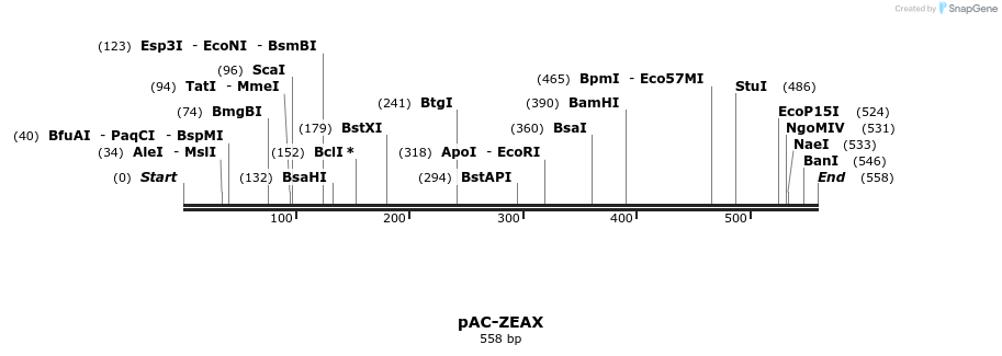 91383_map