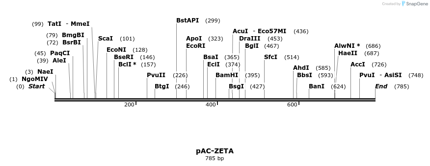 91384_map