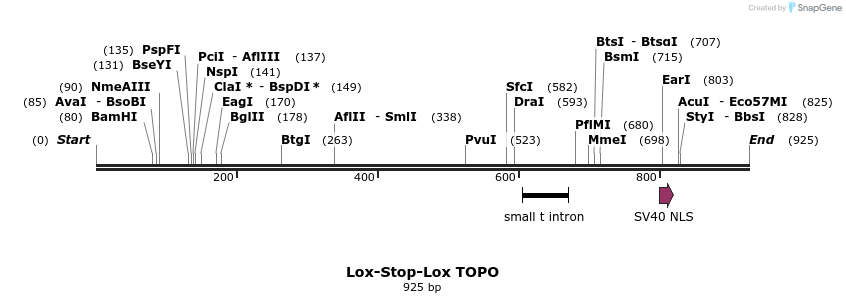 91396_map