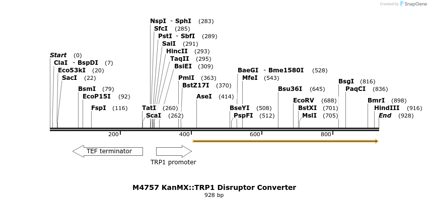 91405_map