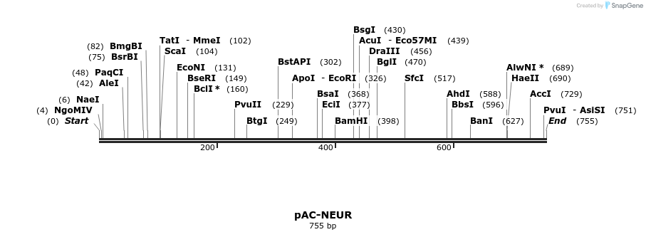 91406_map