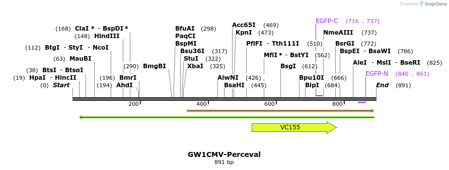 91409_map