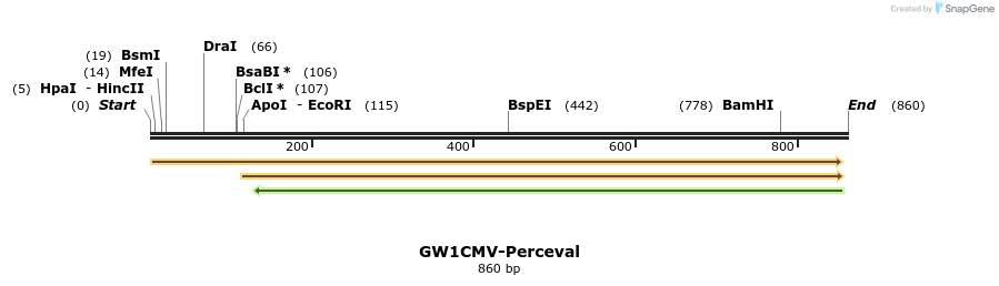 91410_map