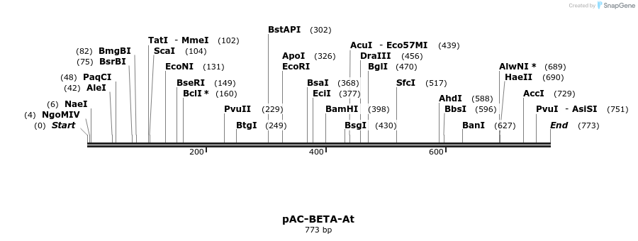 91417_map