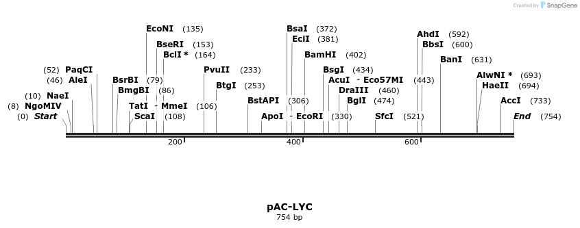 91423_map