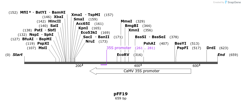 91437_map