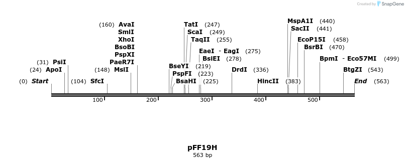 91438_map