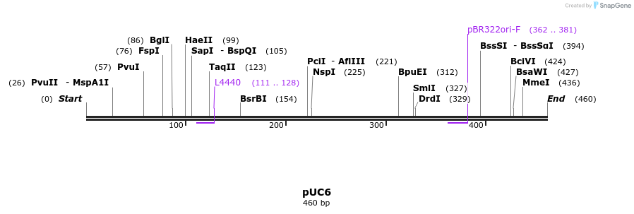 91439_map