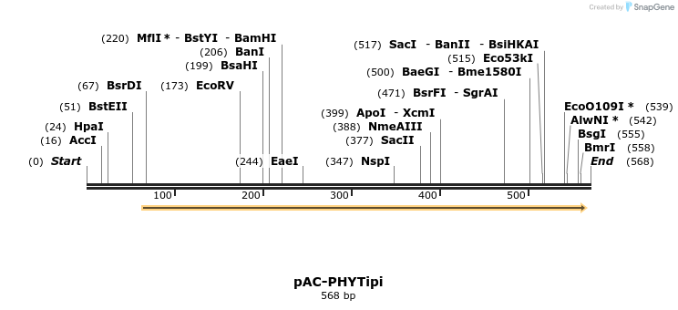 91442_map
