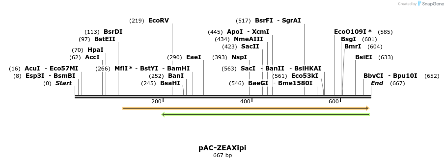 91446_map