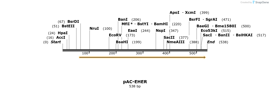 91447_map