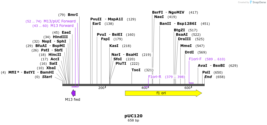 91450_map