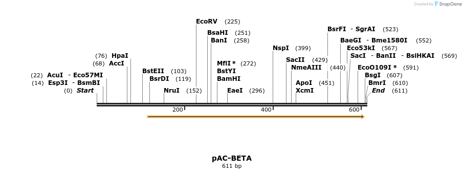 91451_map