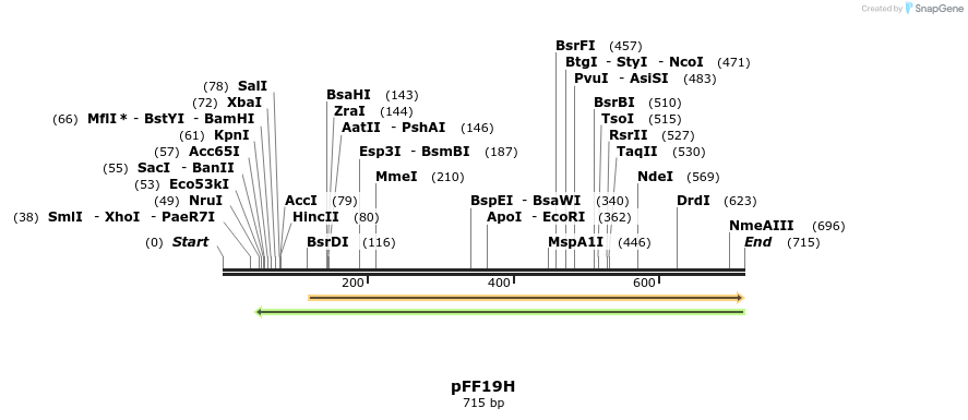 91454_map