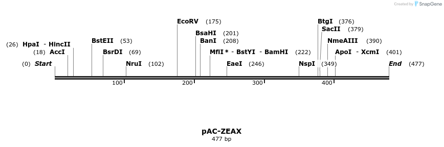 91455_map