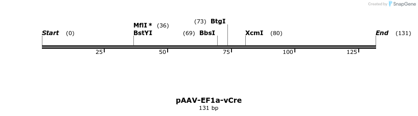 91457_map