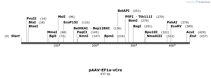 91459_map