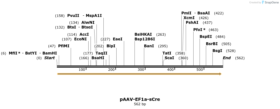 91461_map