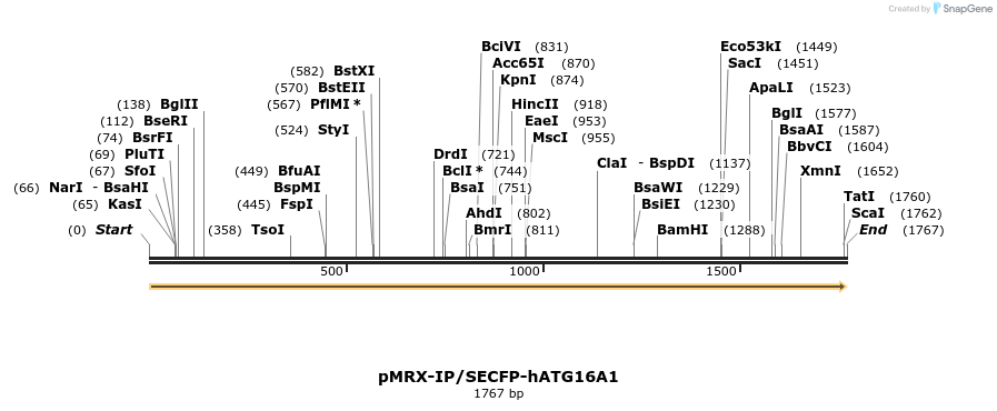 91473_map