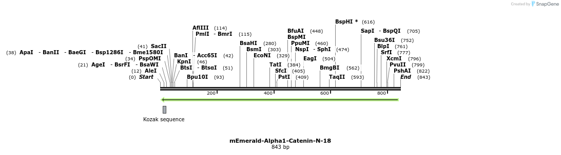 91475_map