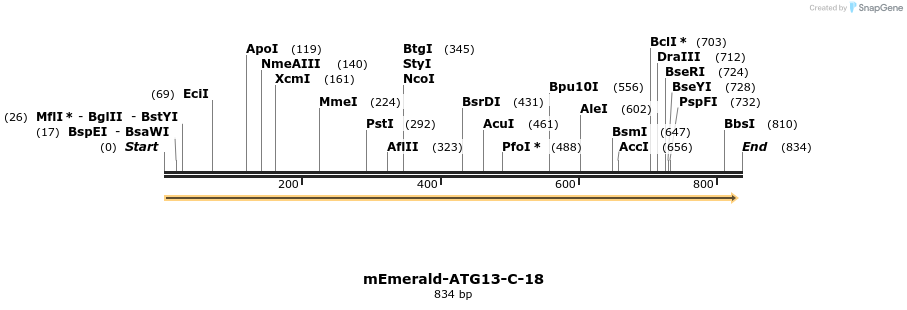 91477_map