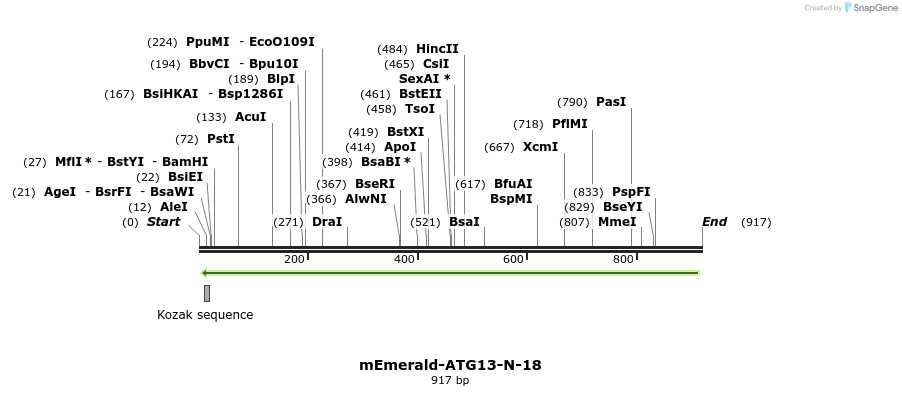 91478_map