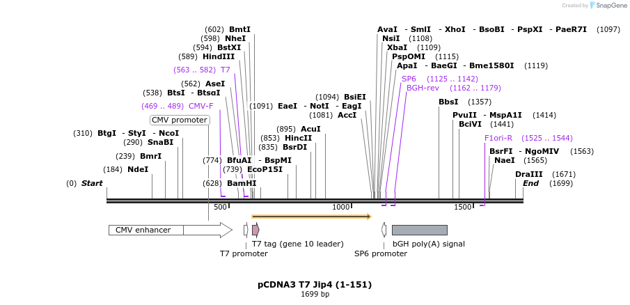 91479_map